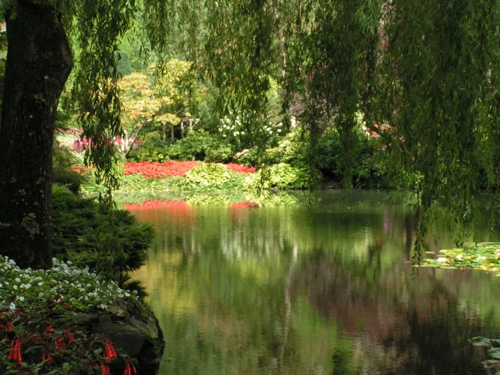 MINOLTA DIGITAL CAMERA