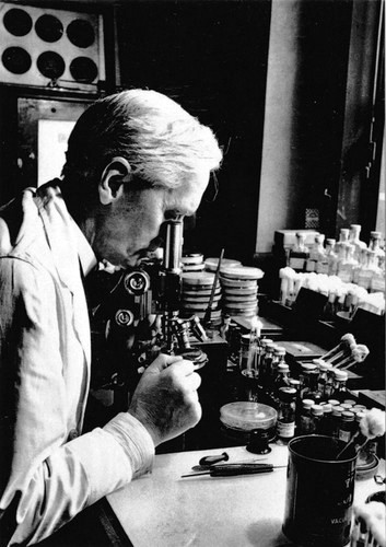 8668865316_6755975c49_o