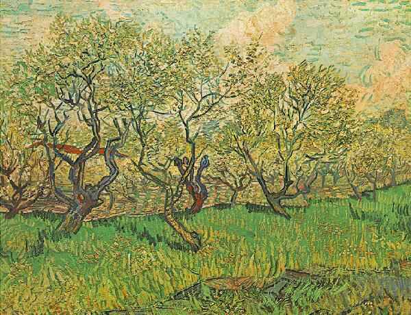 orchards_in_blossom