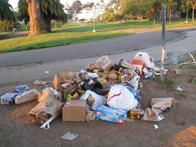 this trash wanted to go in a trash can, but the can was too full