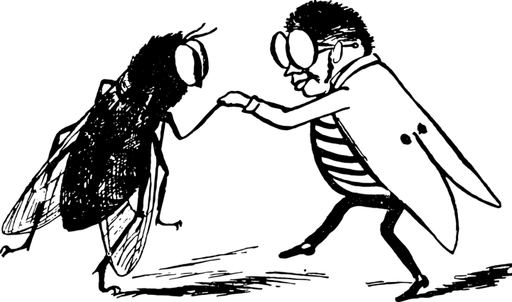 edward-lear-1823625_1280