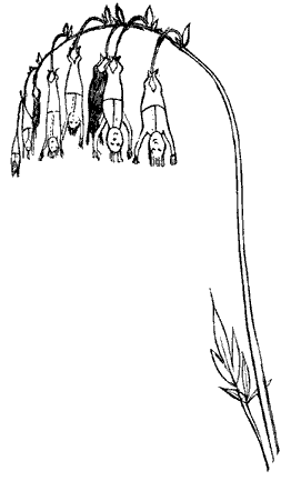 Manypeeplia_Upsidownia