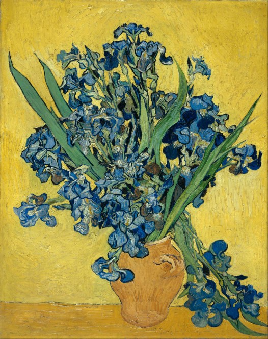 Vincent_van_Gogh_-_Irises_-_Google_Art_Project