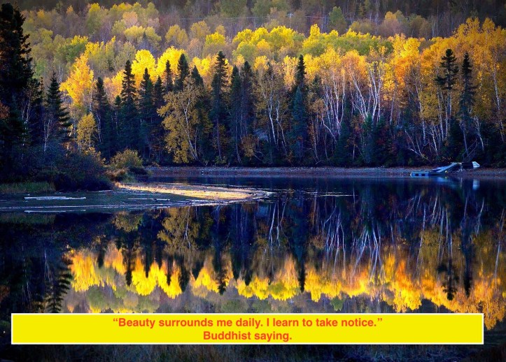 landscape-4776073_1920