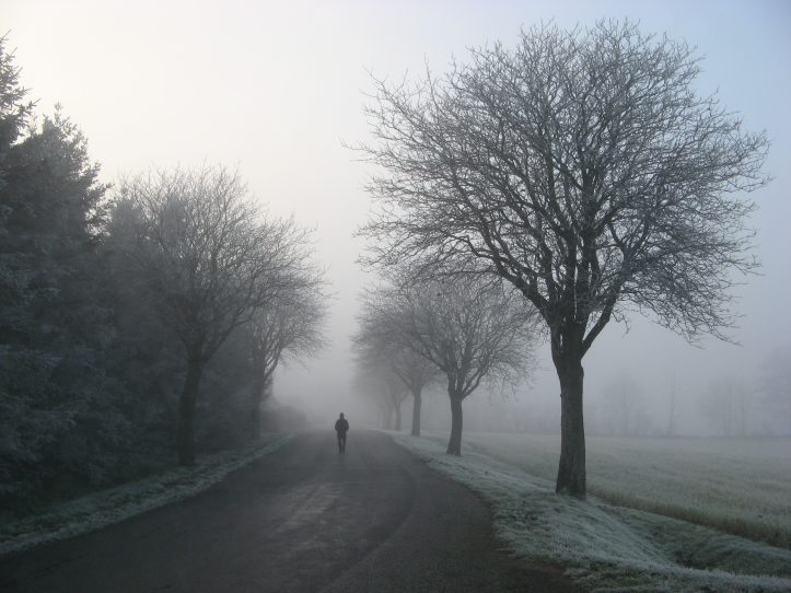 person-walking-on-road-between-trees-25763