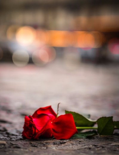 photo-1578521326213-2ca50e4d73e8