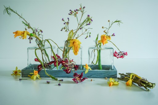 still-life-3267352_1920