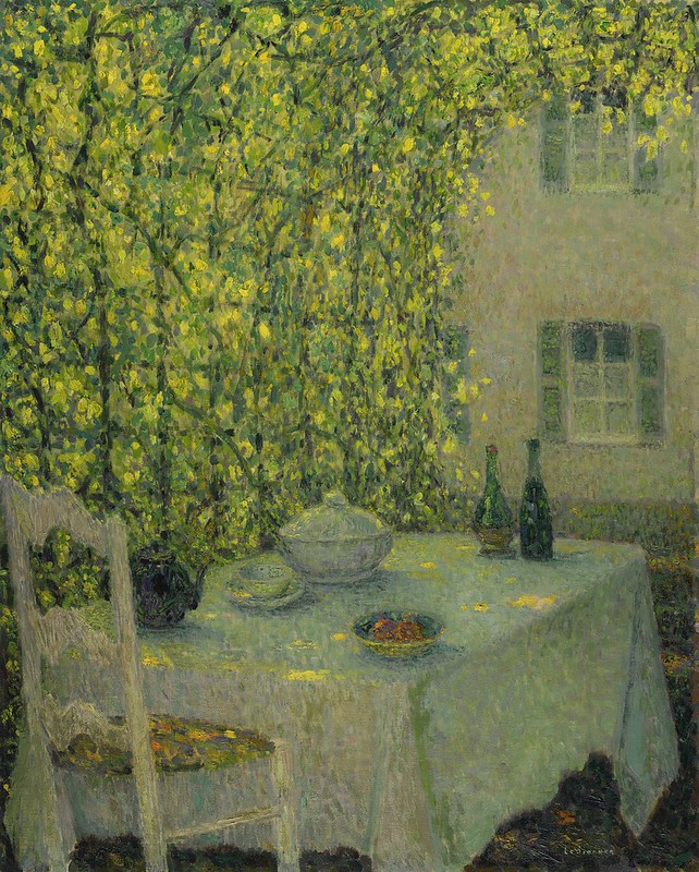 49726451876_9a910f2003_c