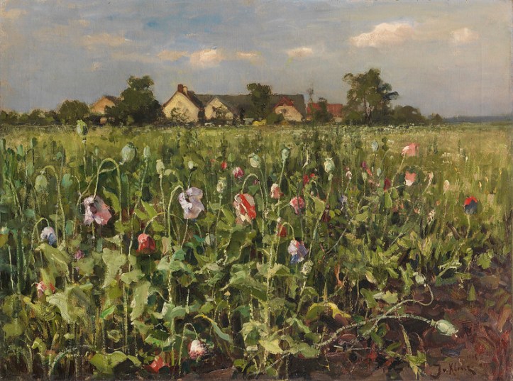 49800615121_044e7500ea_c