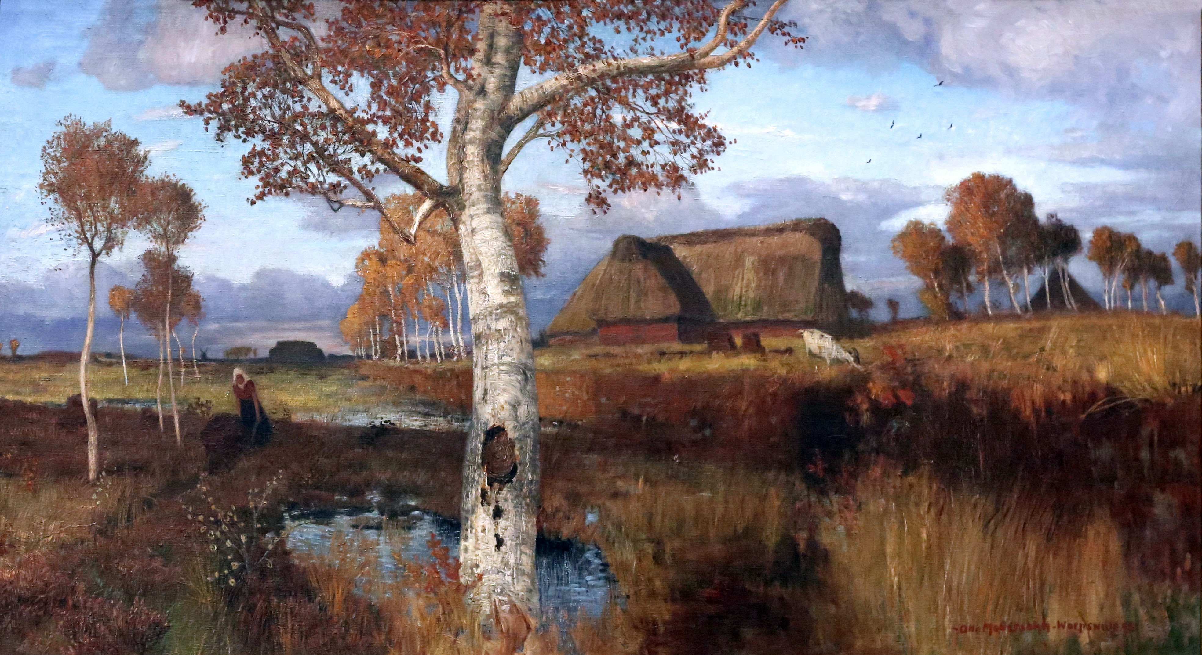 37076732591_7517bf4e9d_o