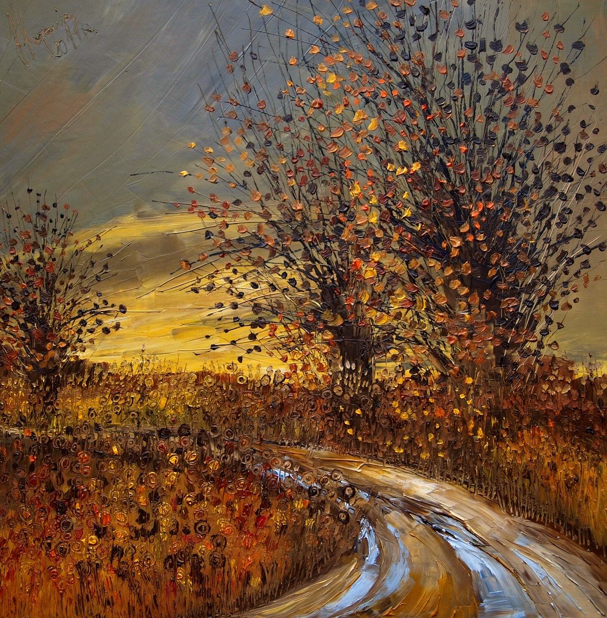 6665920577_0257ccb7b2_o