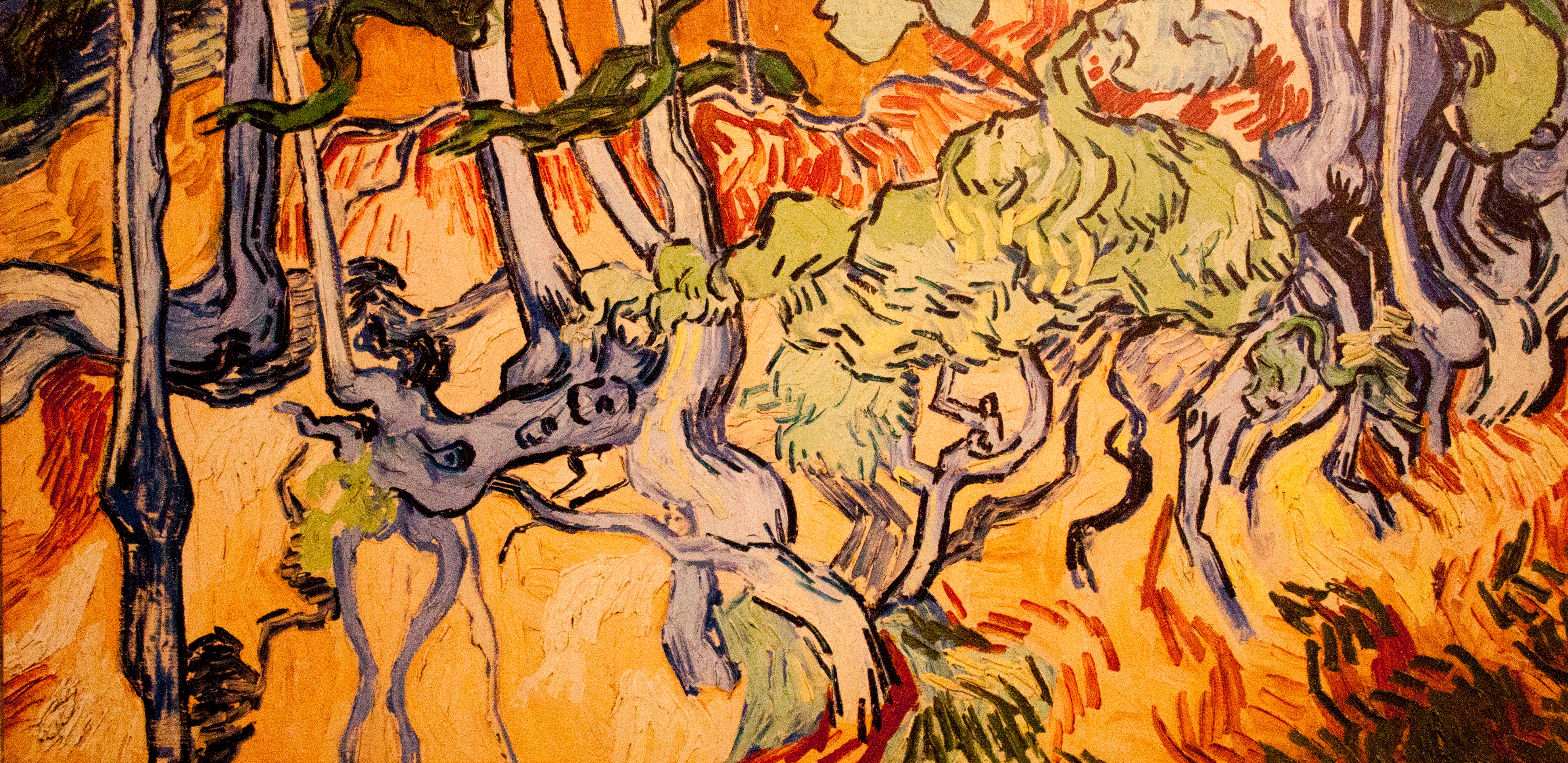 Tree_Roots_and_Trunks_(JH_2113)_-_My_Dream