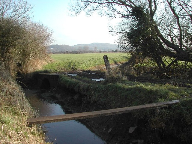 Plank_bridge_-_geograph.org.uk_-_96485