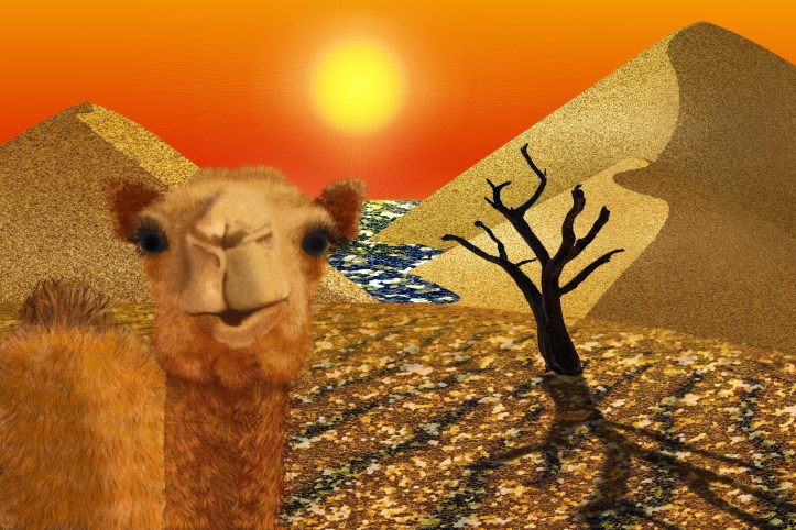 40125158654_52d2cd1fa3_o