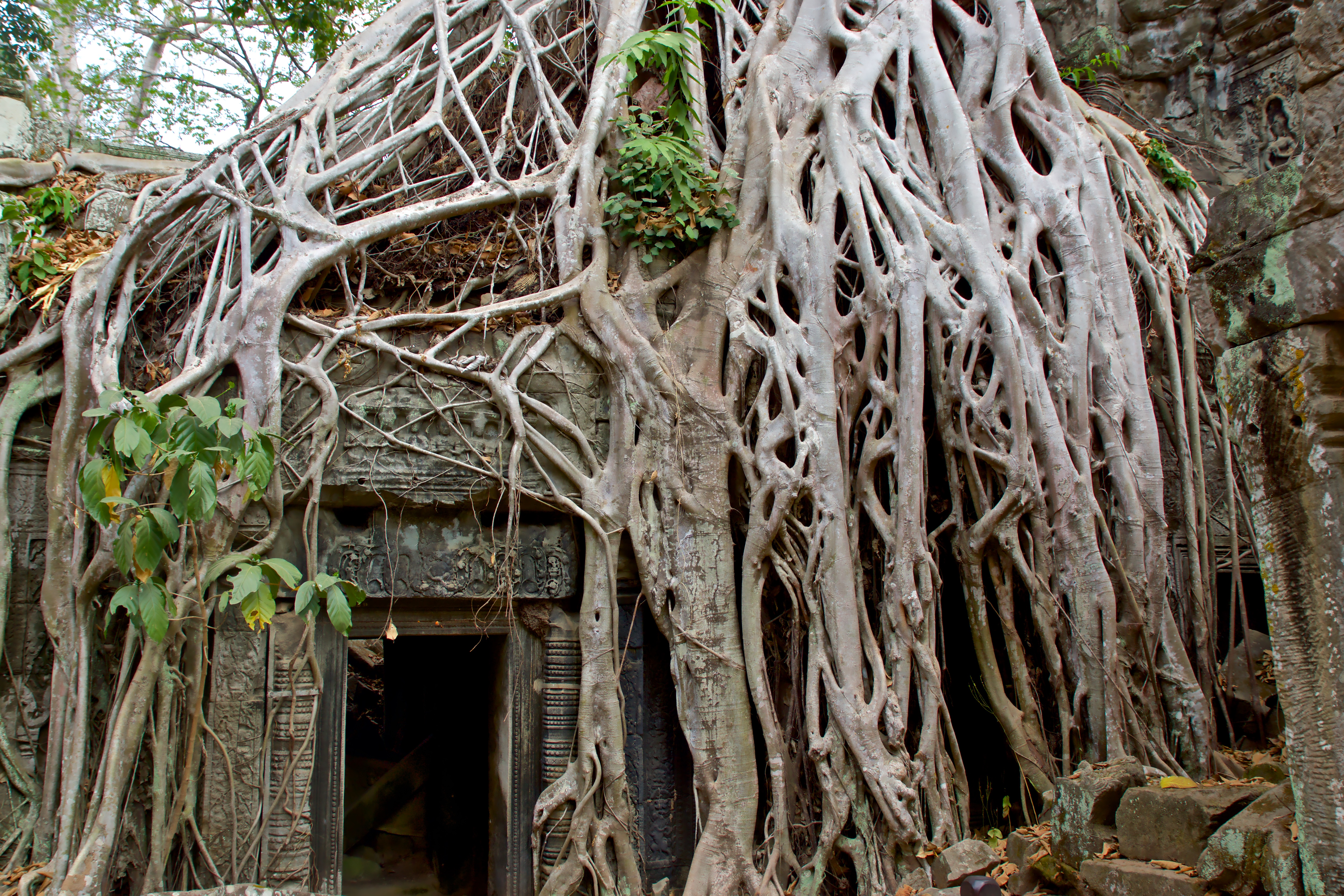 25205437623_772da8bbda_o (1)