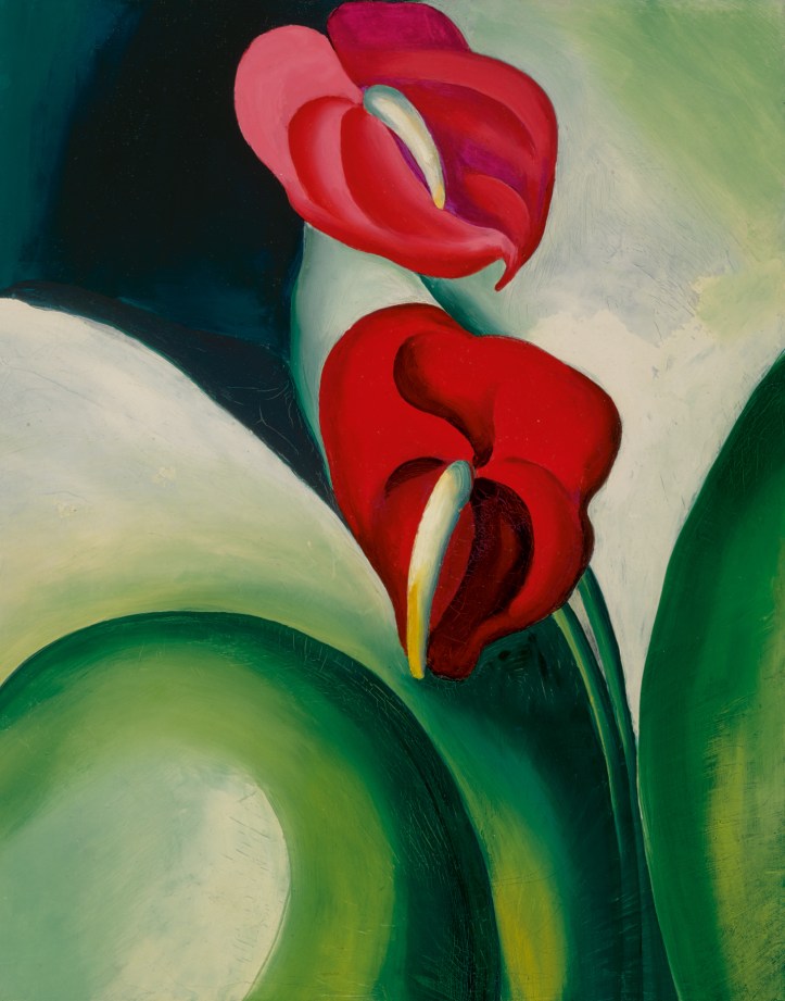 49192427062_aeda5f0d40_o