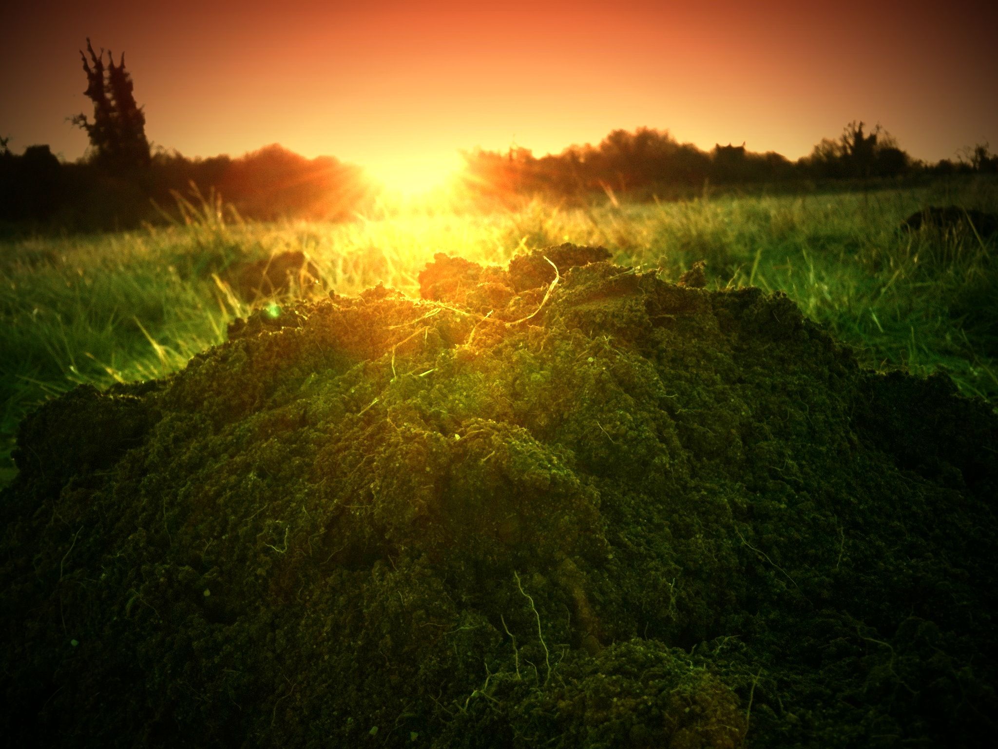 4241886426_e05792d4d7_o