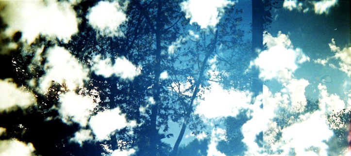 3009122776_b8fe8af3eb_o