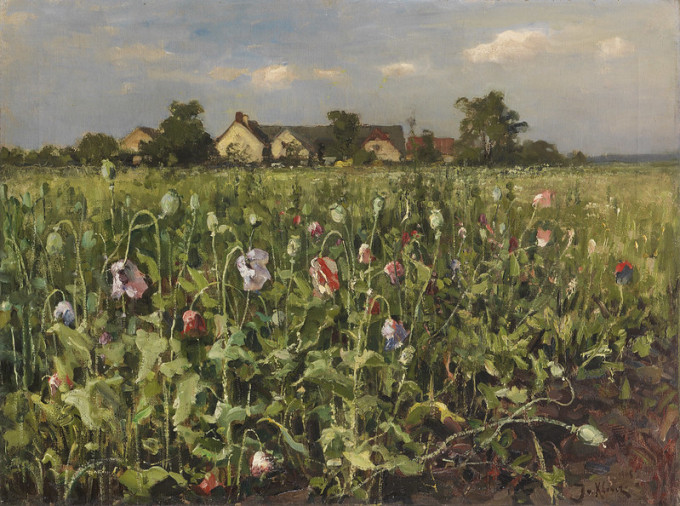 49800615121_044e7500ea_c