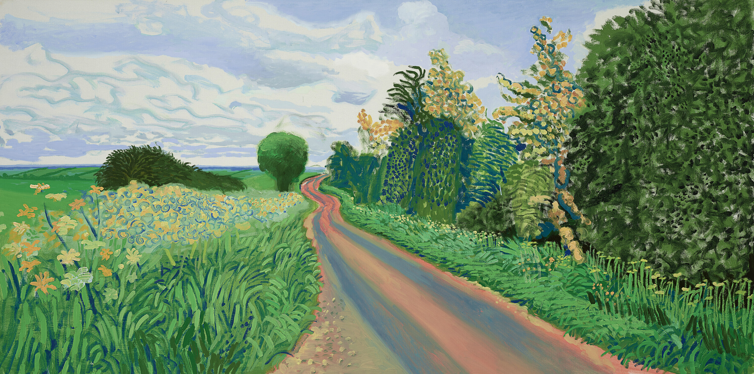 52891077706_443989b40e_o