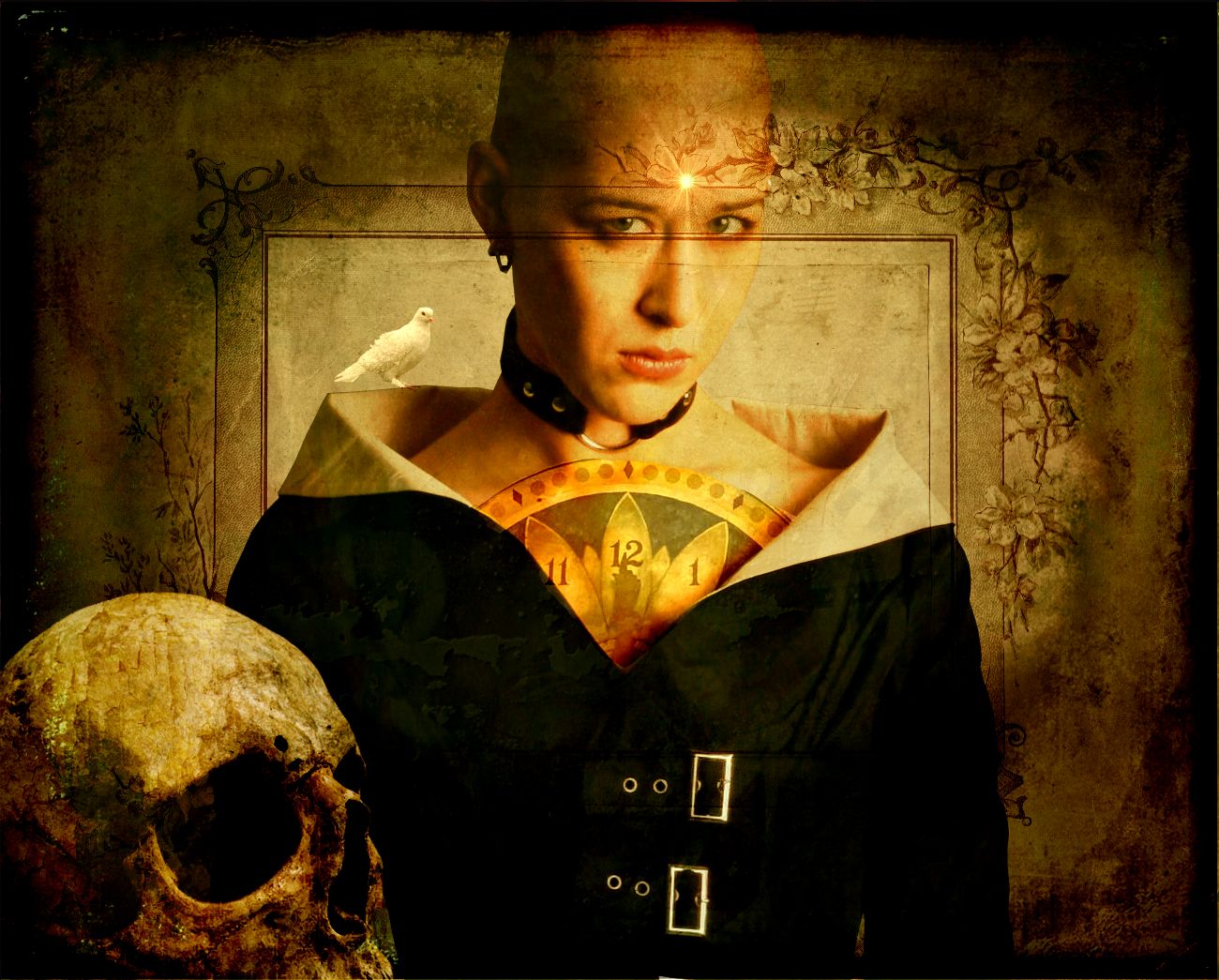 3744716746_56791cefc9_o