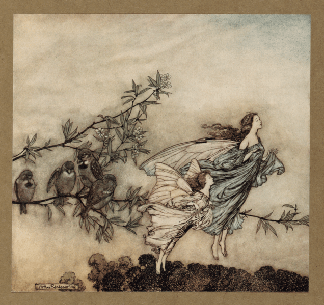 Houghton_Typ_905R.06.195_(A)_-_Arthur_Rackham,_Peter_Pan_-_The_fairies_have_their_tiffs