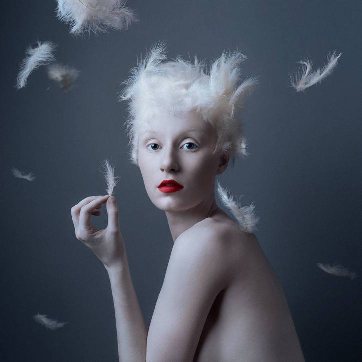 53426059483_0b4f6c6a9d_o