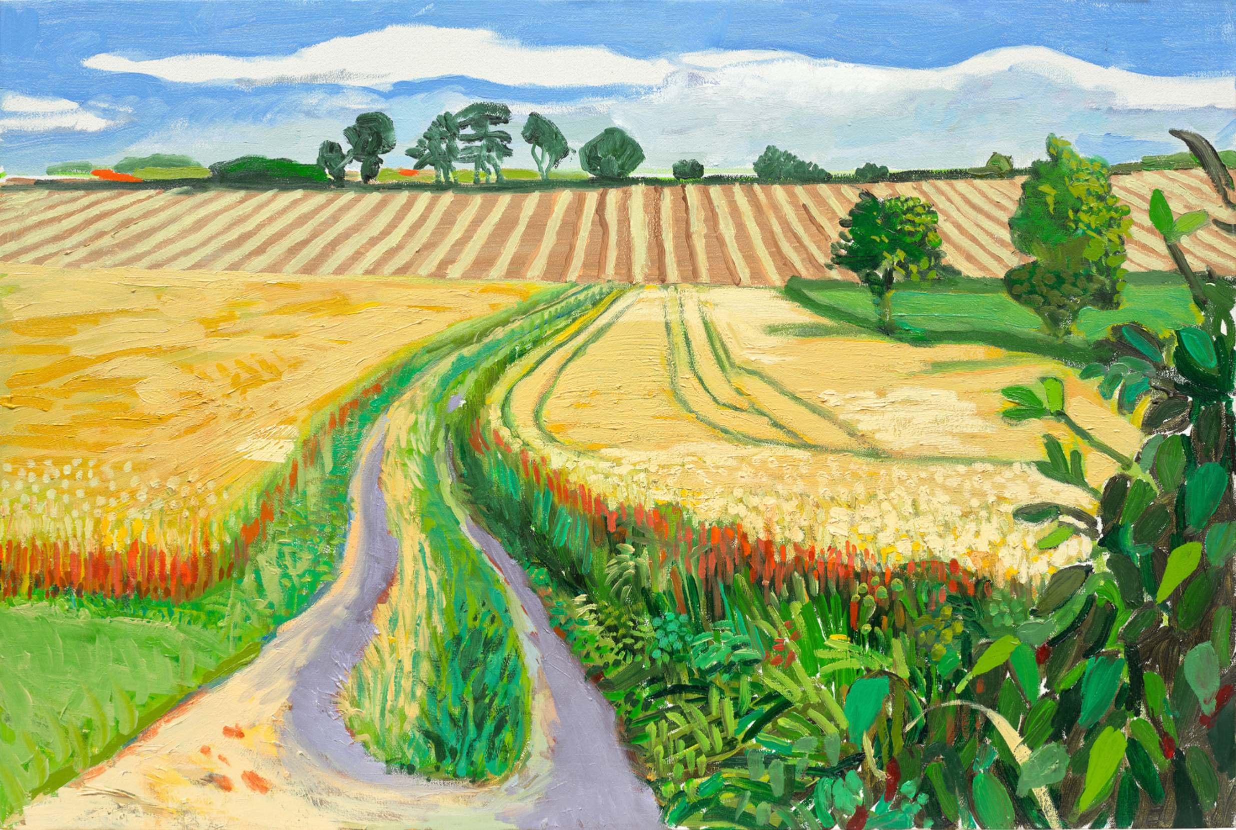 54056438958_417f72c3f7_o