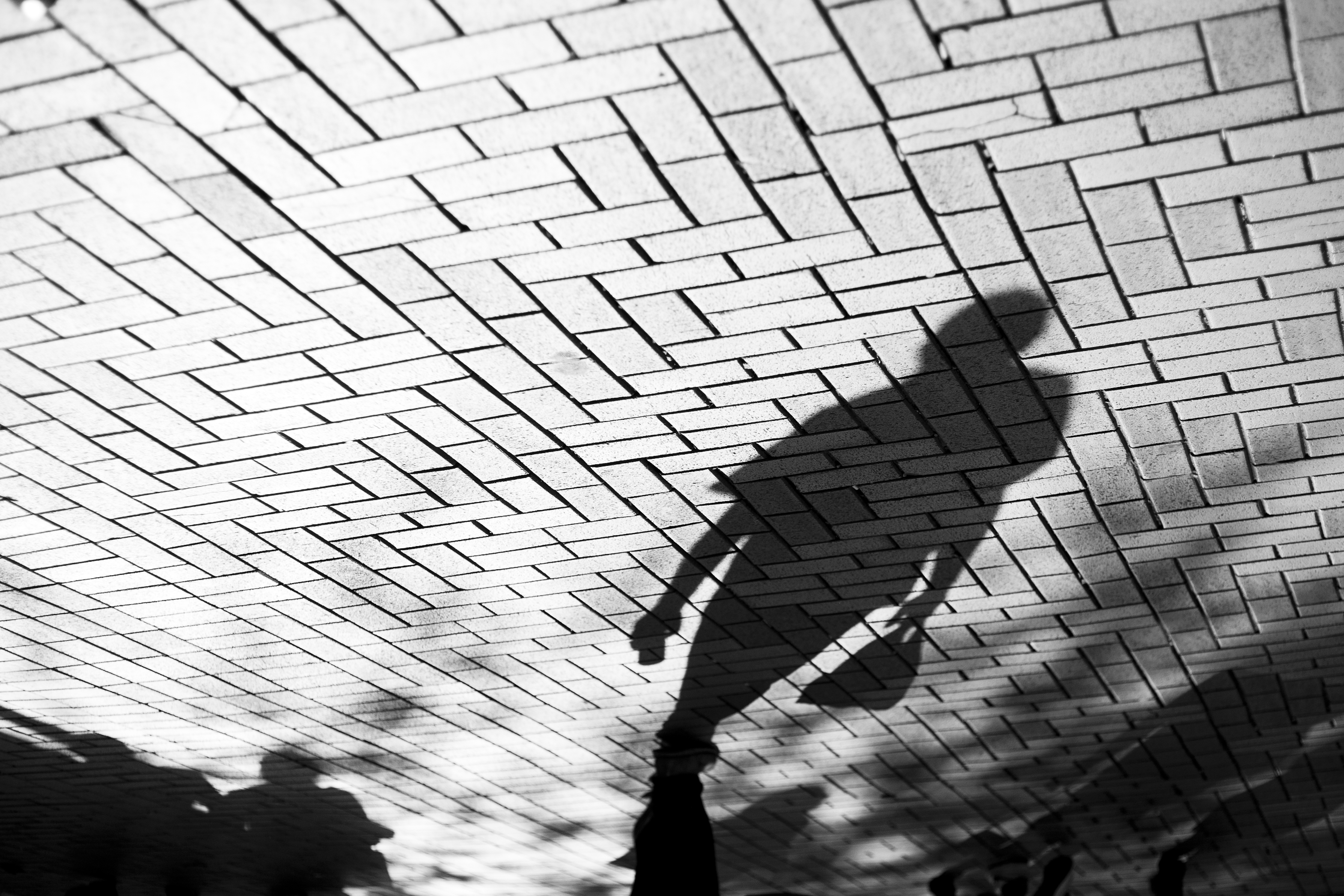 9113083368_855a3dc3a8_o